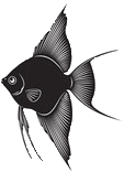 fishicon2.png