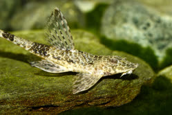 02-0-Copr_2025-Aqua_Global_DE.jpg 02-0-Copr_2025-Aqua_Global_DEt.jpg