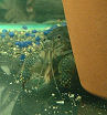 Dscf0021t.jpg