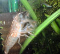 DSCF0015t.jpg