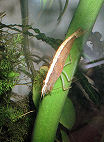Dscf0023t.jpg
