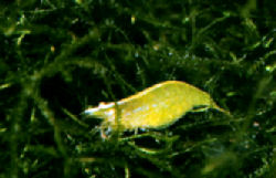 02-0-Copr_2012_Rachel_Olearyt.jpg