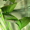 1DSCF0013t.jpg