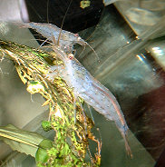 2DSCF0008t.jpg