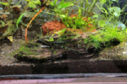 02-0-Copr_2012_Rachel_Olearyt.jpg