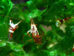 02-0-Copr_2012_Fumitoshi_Morit.jpg