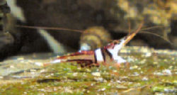 04-0-Copr_2012_Stev_Kolditzt.jpg