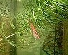 dscf07t.jpg