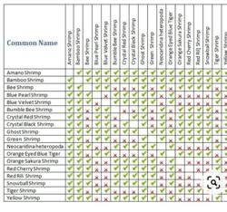 Shrimp_Campatability_Chartt.jpg