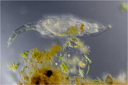 01-0-Copr_2026-Kai_Hormannt.jpg