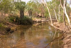 Drysdale_River