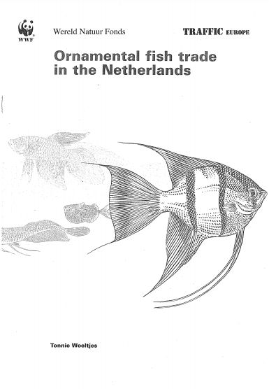 https://www.traffic.org/site/assets/files/9419/ornamental-fish-trade-in-the-netherlands.pdf