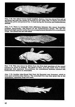 Prehistoric origins of the fishes