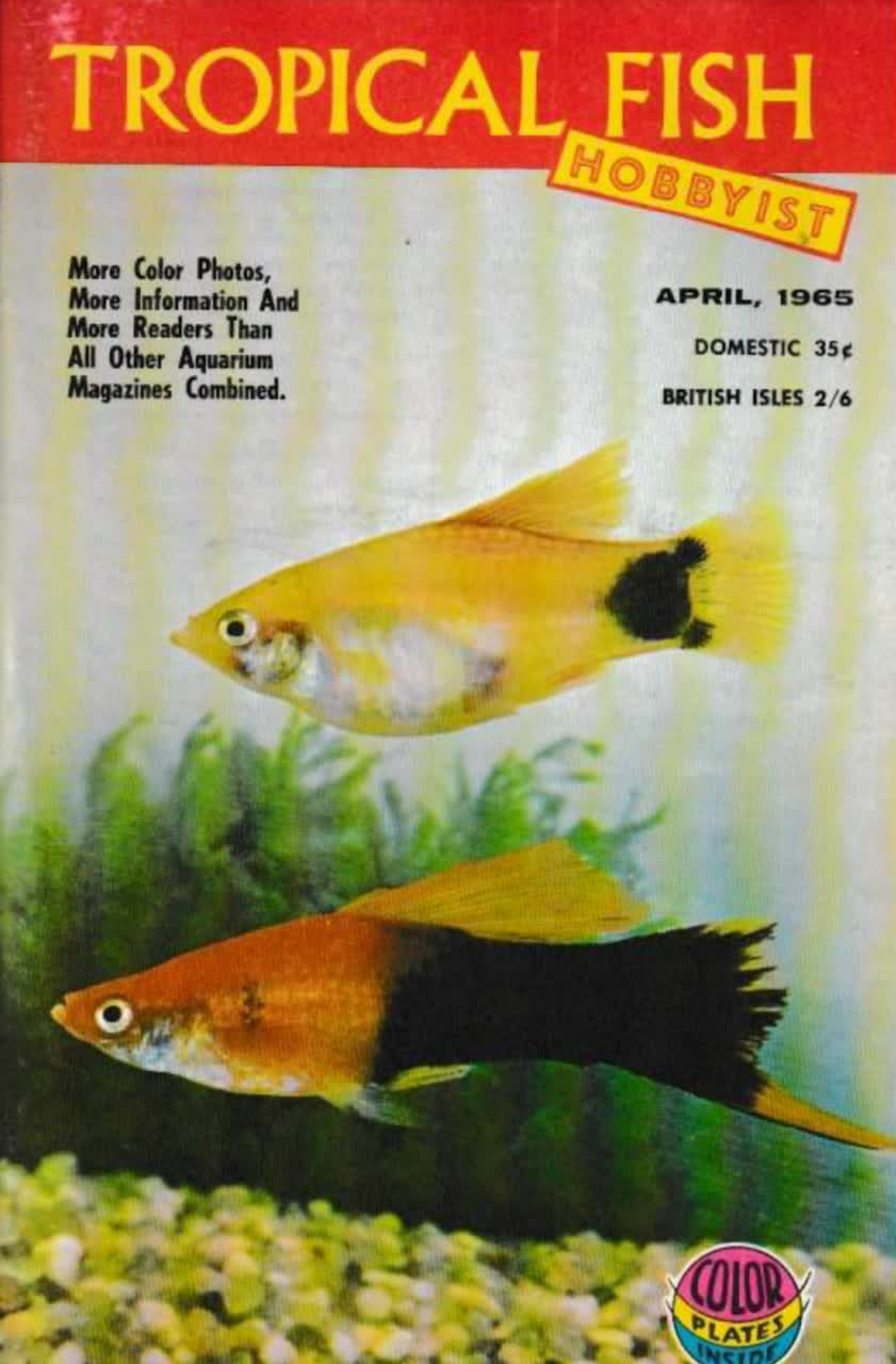 apr