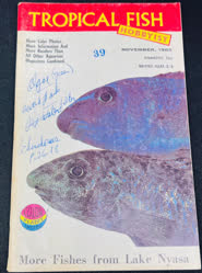 00-0-Copr_1965-TFHt.jpg