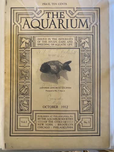 The_Aquarium