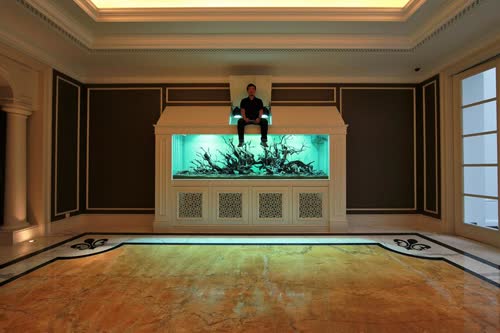 Judy Putra, Malaysia, king of the giant tanks