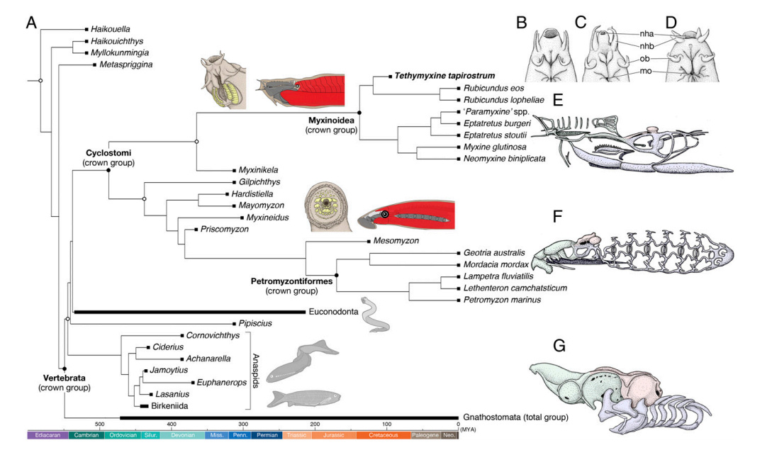 https://www.pnas.org/content/early/2019/01/14/1814794116