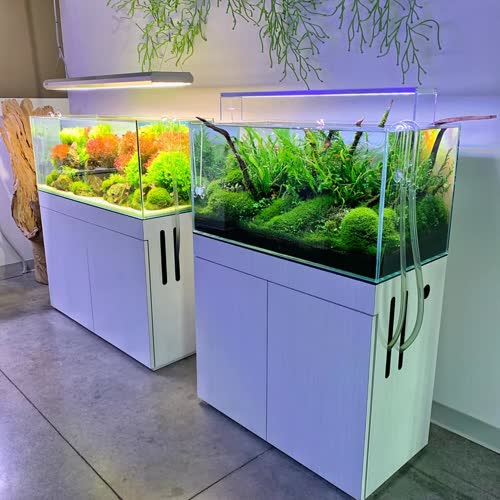 Aquarium_Design_Group