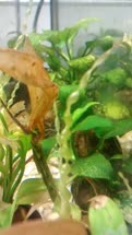 IMG_20220504_140507323t.jpg