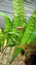 IMG_20220504_140901504_HDRt.jpg