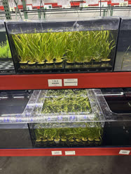 Aquarium_Co-Op