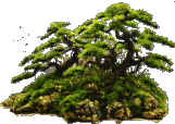 00-0-Copr_2017-Herry_Rasiot.png