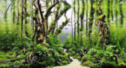 trees4t.jpg