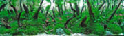 trees7t.jpg