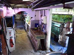 03-0-Copr_2026-Premier_Aquaticst.png