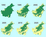 Borneo_deforestation_mapt.jpg