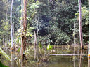 02-0-Copr_2008_nature_eye_Min_Sg_Buloht.jpg
