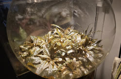 02-0-Copr_2025-Constantino_Gastaldi.jpg 02-0-Copr_2025-Constantino_Gastaldit.jpg